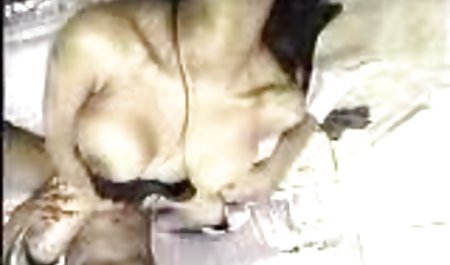 専用の裏付中カメラ 英語 アニメ youtube