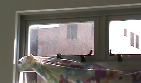 角Truckers17 ユーチューブ 映画 無料 ホット ロード