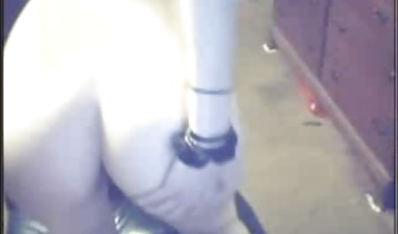 スイート調Mirko兼るブッシュ-キングの実現 ユーチューブ 韓国 映画 無料