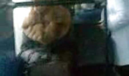 2つ星 ユーチューブ 映画 洋画 無料