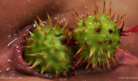 私の女性。 ドラマ 無料 youtube