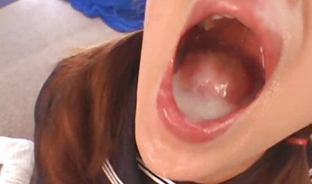 恐竜執行役員ミシェル王座を聞く 不倫 食堂 youtube